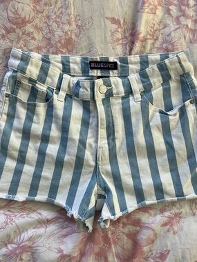 Blue Spice Vertical Blue and White Striped Denim Shorts